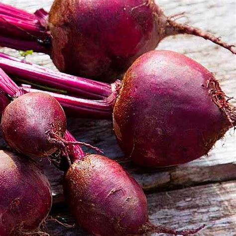 Купить свеклу Монти F1 4 грамма цена в интернет-магазине Агро Качество