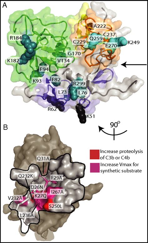 Structural Basis For Complement Factor I Control And Its Disease