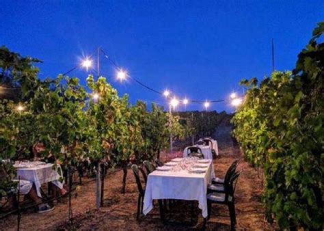 Cena In Vigna Piemonte Langhe Monferrato E Roero Torino Casa Mia