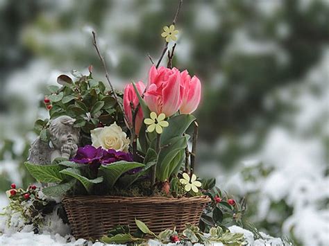 9 Of The Best Flowers To Plant For A Blooming Winter Garden Goodhomes