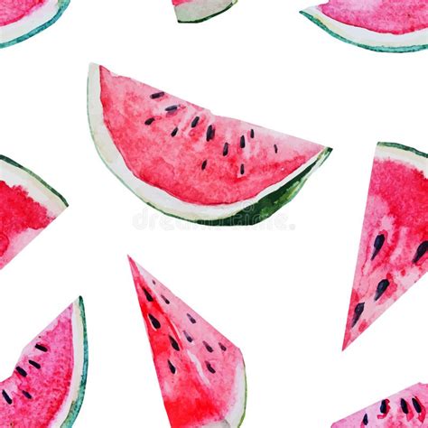 Watercolor Watermelon Melon Pattern Stock Vector Illustration Of