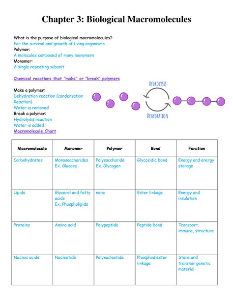 Chapter 3 Notetaker Finished Chapter 3 Biological Macromolecules