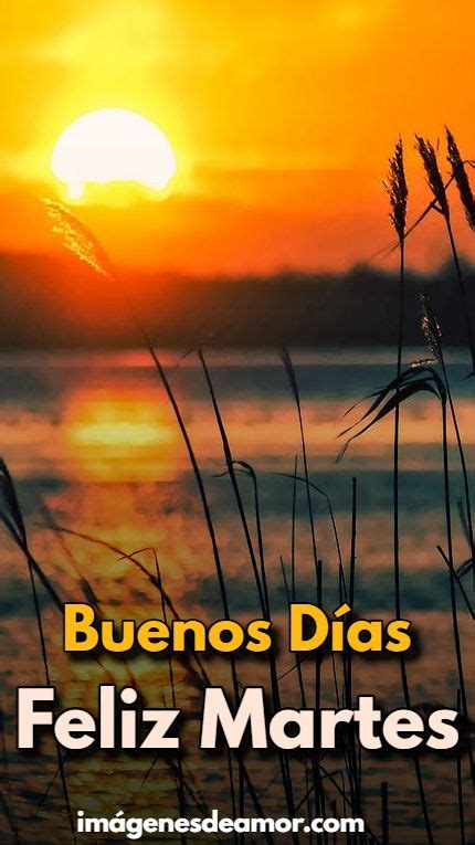 35 Imágenes De Buenos Días Feliz Martes 2023 Debe Ver Imagenes 365