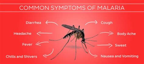 Symptoms of Malaria - HealthKart