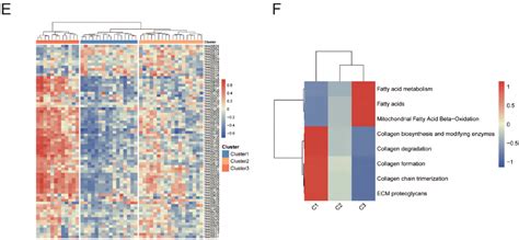 Q Bulk Rna