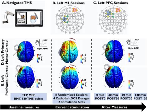 Transferability Of Cathodal Tdcs Effects From The Primary Motor To The