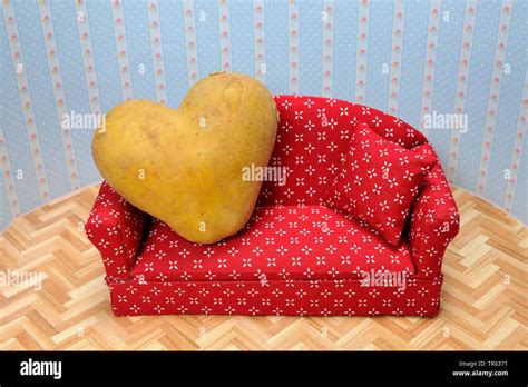 Couch kartoffeln Fotos und Bildmaterial in hoher Auflösung Alamy