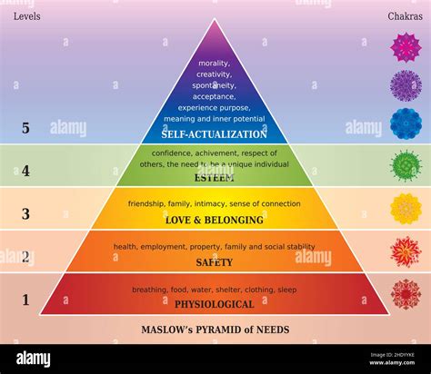 Jerarqu A De Necesidades De Maslow Maslows Hierarchy Of Free Hot Sex