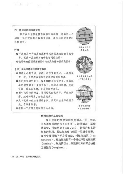 《第二节 植物细胞》2012年审定人教版七年级生物上册初中课本 中学课本网