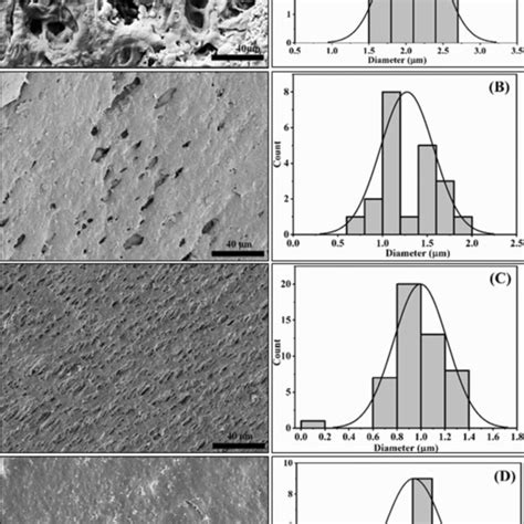 Fe Sem Micrographs And Corresponding Particle Size Distribution Curves