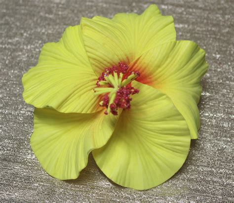 Samoan Hibiscus Seis Large Size Manua Store