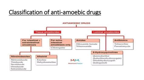 Drugs Used In Protozoal Infectionpptx