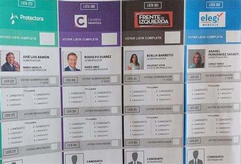 Boleta Única Ventajas Y Desventajas De Un Instrumento Electoral Que Se