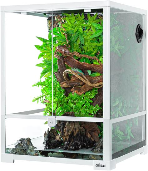 Amazon Exo Terra Rainforest Habitat Kit Includes Pt