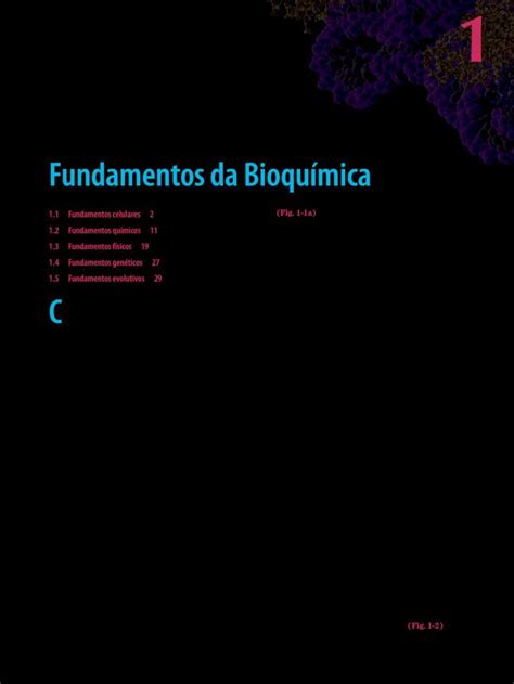 Pdf Bioquimica Fundamentos Dokumen Tips