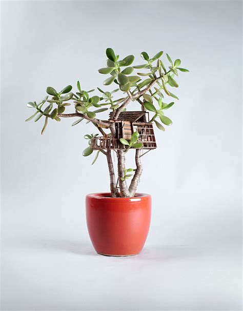 Artist Creates Miniature Tree Houses Meticulously Sculpted Around