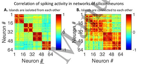 Pearson Correlation Of Spiking Activity Of Networks Of Artificial