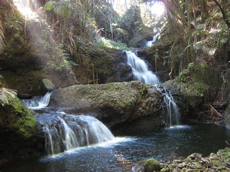 Oahu Botanical Garden Waterfall Oahu Waikiki Much Than Waimanalo - elesa1