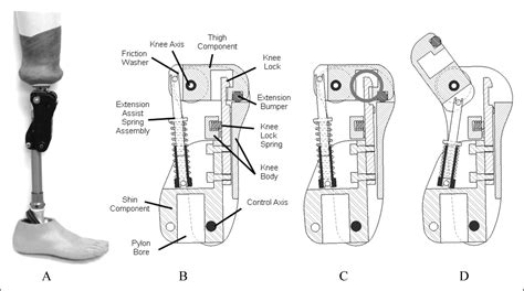 Mobility Function Of A Prosthetic Knee Joint With An Automatic Stance Phase Lock Jan Andrysek