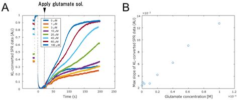 Biosensors Free Full Text Data Processing Of Spr Curve Data To