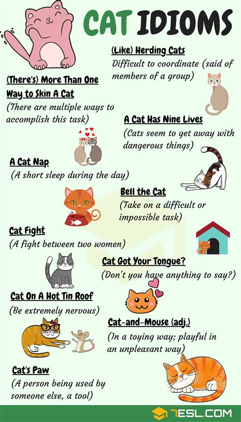 Cat Idioms • 7ESL | Ingiliz dili sanatları, Dilbilgisi, Ingilizce ...