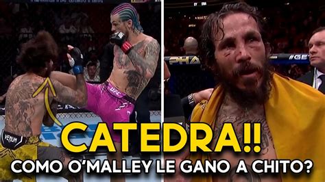 Aplastante C Mo Sean Omalley Le Gan A Chito Vera O Malley Vs