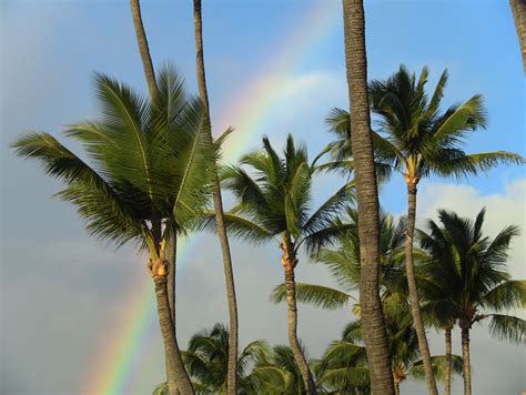 Maui Sands Photo Gallery