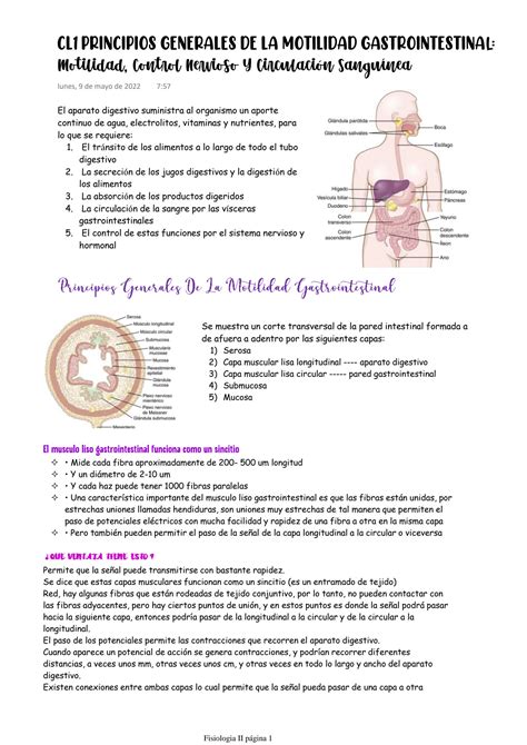 SOLUTION Cl1 Principios Generales De La Motilidad Gastrointestinal