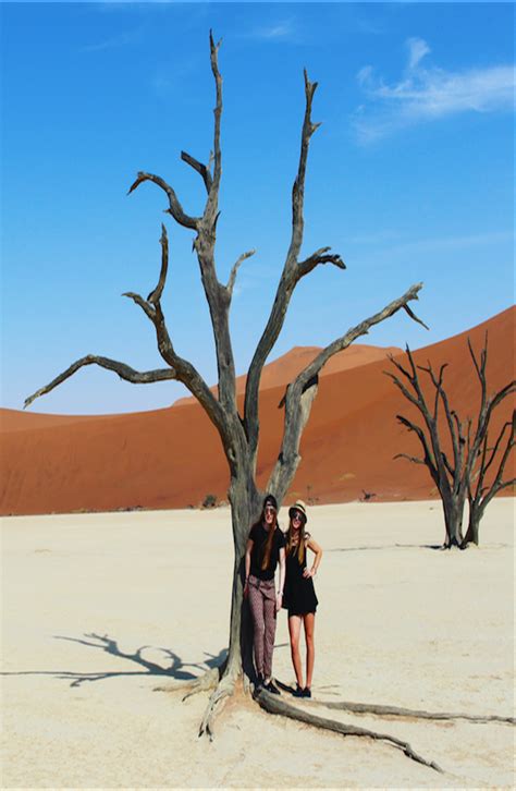 Complete Guide To Sossusvlei Namibia The Worlds Oldest Desert