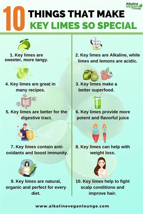 10 Things That Make Key Limes So Special Key Lime Benefits Lime