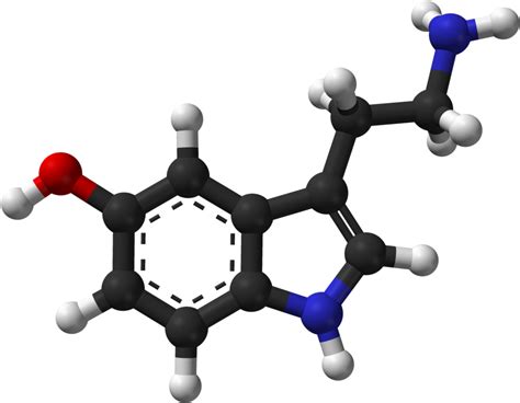 Molecular Structure Of Serotonin Serotonin Molecule Clipart Full