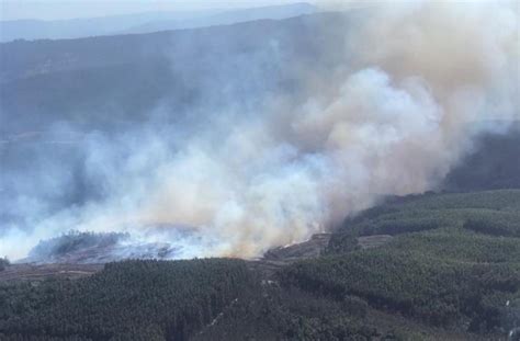 Cancelan Alerta Roja Y Declaran Alerta Amarilla Por Incendio Forestal En Paillaco Rioenlinea