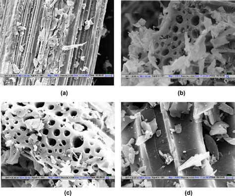 SEM Images Of Raw Bamboo Biomass And Biochar Produced At 400 500 And