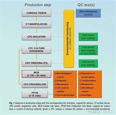 生物制品质量控制核酸检测一站式解决方案 核酸检测方法，特别是实时荧光定量聚合酶链式反应（qpcr方法）由于其灵敏度高、特异性强、检测时间短等