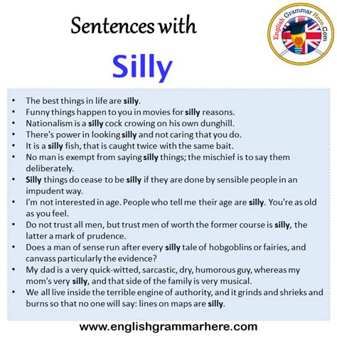 Sentences with Silly, Silly in a Sentence in English, Sentences For ...