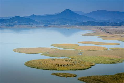 Best Time to See Suncheon Bay Wetland Reserve in South Korea 2018