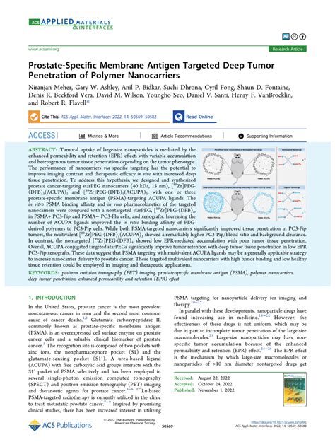 Pdf Prostate Specific Membrane Antigen Targeted Deep Tumor