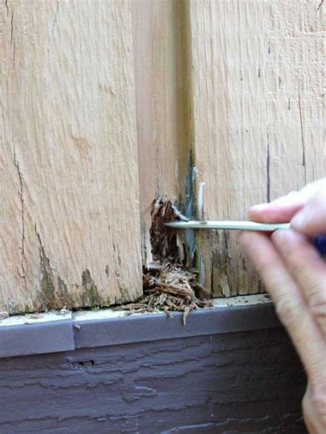 How To Repair Wood Rot Artofit