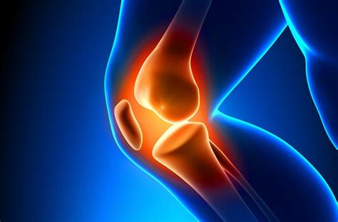 All About The ACL Injury ACL Questions And Answers From A Vail