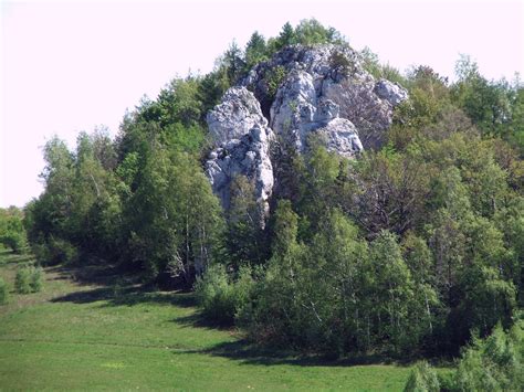 Rezerwat Jura Noclegi Agroturystyka Pensjonaty Gastronomia Wczasy