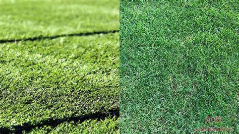 Artificial Turf Vs Natural Grass Cost A Comprehensive Comparison