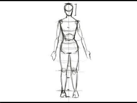 Drawing Female Figure Proportions : Proportions Proportion Humain Anatomy Basic Sketch Perard ...