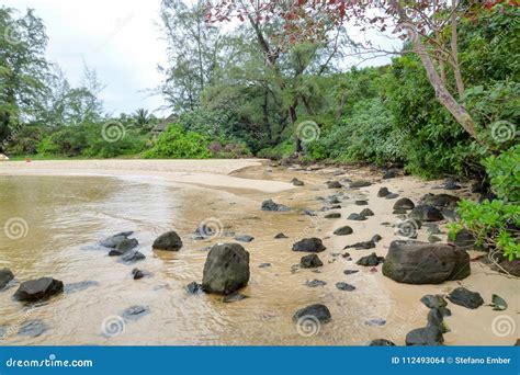 Freshwater River On The Beach Of Koh Rong Sanloem Island Stock Photo