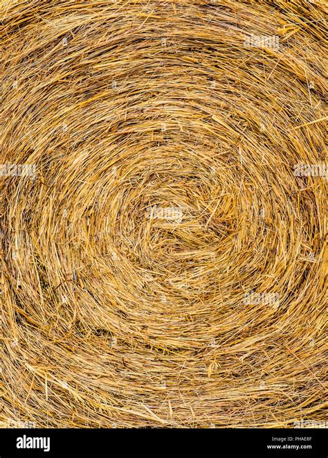 Hay Texture Hi Res Stock Photography And Images Alamy