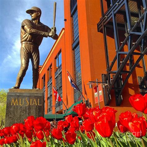 Stan Musial Statue On Opening Day by Debbie Fenelon | Stan musial ...