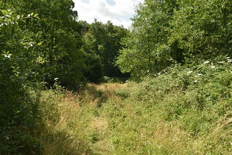 Footpath To Catsfield Place N Chadwick Cc By Sa 2 0 Geograph