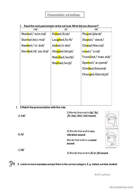 Past Simple Ed Pronunciation Of Re… English Esl Worksheets Pdf And Doc