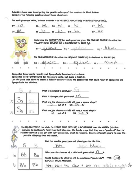 Genetics Worksheet Answer Key