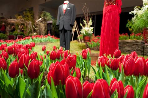 Rhode Island Spring Flower And Garden Show This Weekend Narragansett