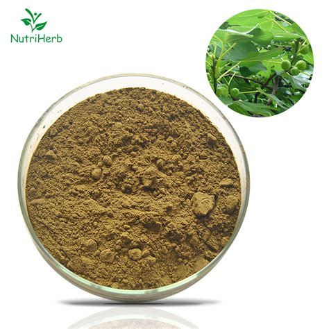 Natural Source Olive Leaf Extract Oleuropein Powder China